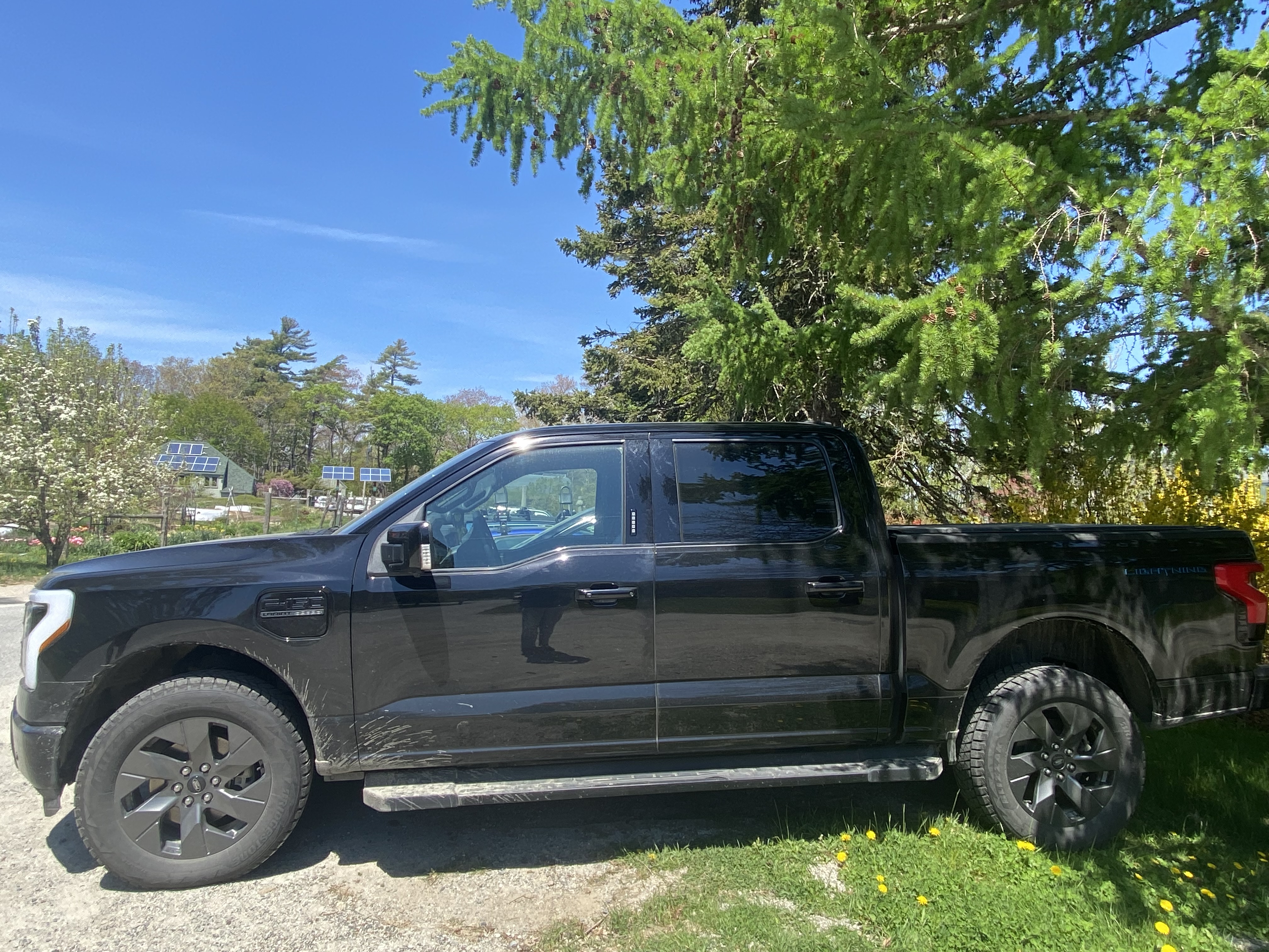 black Ford Lightning electric truck parked under a tree